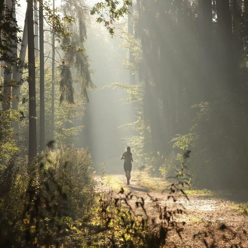 A jogger in the woods